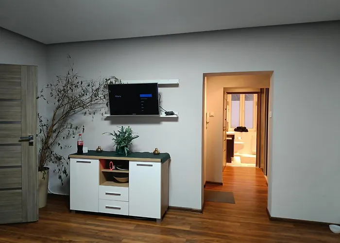 アパート Apartament 55m2 For You シュツァブノ・ズドルイ